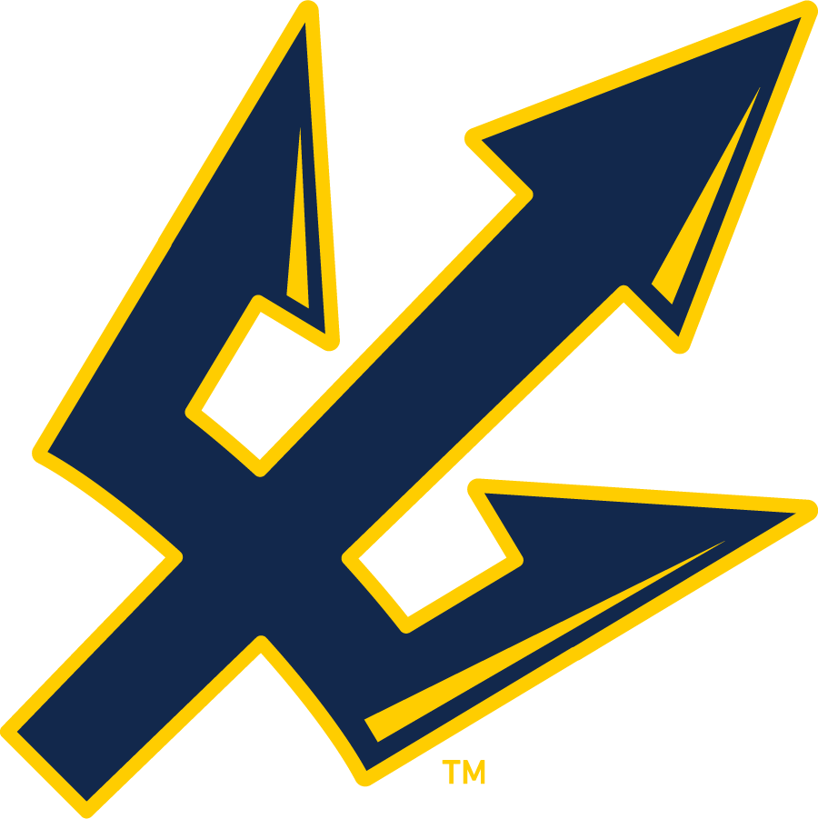 UC San Diego Tritons 2018-Pres Secondary Logo v2 diy DTF decal sticker